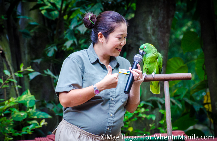 When in Singapore, Visit Jurong Bird Park: Asia’s Largest Bird Paradise 6 Jurong Bird Park Night Safari Singapore When in Manila Mae Ilagan (26 of 107)