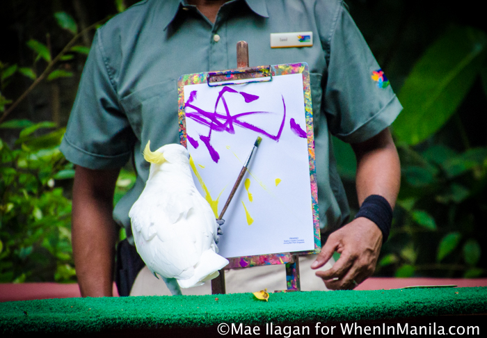 When in Singapore, Visit Jurong Bird Park: Asia’s Largest Bird Paradise 7 Jurong Bird Park Night Safari Singapore When in Manila Mae Ilagan (28 of 107)