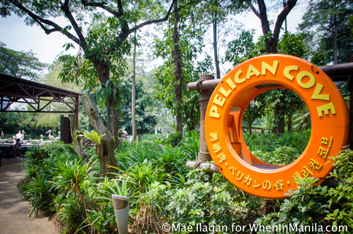 When in Singapore, Visit Jurong Bird Park: Asia’s Largest Bird Paradise 7 Jurong Bird Park Night Safari Singapore When in Manila Mae Ilagan (36 of 107)