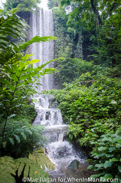 When in Singapore, Visit Jurong Bird Park: Asia’s Largest Bird Paradise 11 Jurong Bird Park Night Safari Singapore When in Manila Mae Ilagan (51 of 107)