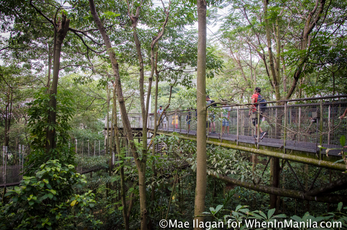 When in Singapore, Visit Jurong Bird Park: Asia’s Largest Bird Paradise 14 Jurong Bird Park Night Safari Singapore When in Manila Mae Ilagan (61 of 107)