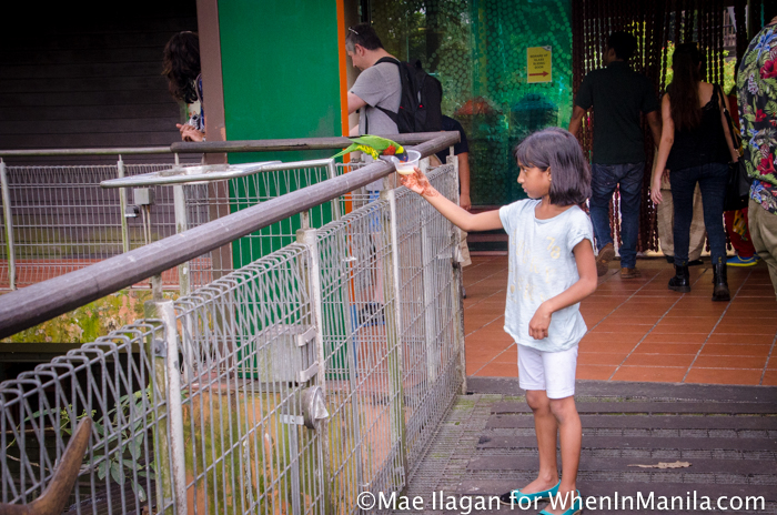 When in Singapore, Visit Jurong Bird Park: Asia’s Largest Bird Paradise 16 Jurong Bird Park Night Safari Singapore When in Manila Mae Ilagan (62 of 107)