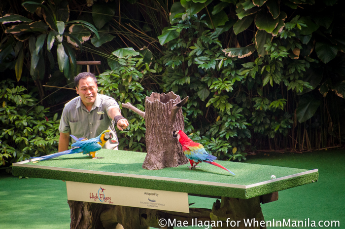 When in Singapore, Visit Jurong Bird Park: Asia’s Largest Bird Paradise 10 Jurong Bird Park Night Safari Singapore When in Manila Mae Ilagan (67 of 107)