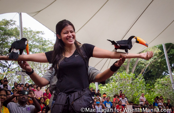 When in Singapore, Visit Jurong Bird Park: Asia’s Largest Bird Paradise 11 Jurong Bird Park Night Safari Singapore When in Manila Mae Ilagan (68 of 107)