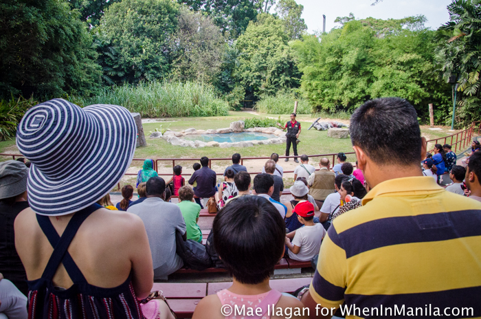 When in Singapore, Visit Jurong Bird Park: Asia’s Largest Bird Paradise 16 Jurong Bird Park Night Safari Singapore When in Manila Mae Ilagan (75 of 107)
