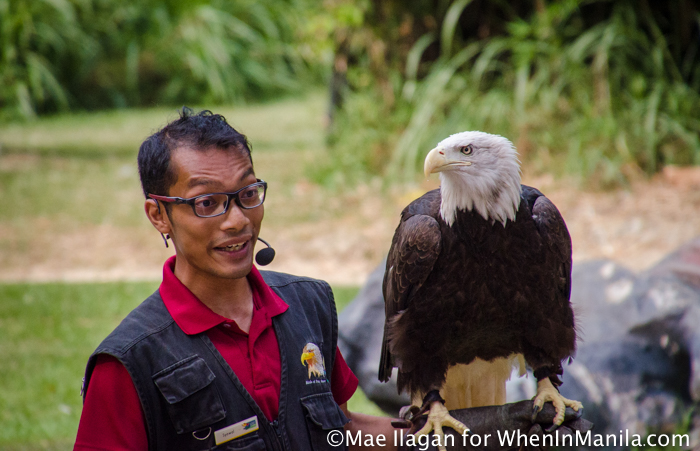 When in Singapore, Visit Jurong Bird Park: Asia’s Largest Bird Paradise 13 Jurong Bird Park Night Safari Singapore When in Manila Mae Ilagan (77 of 107)