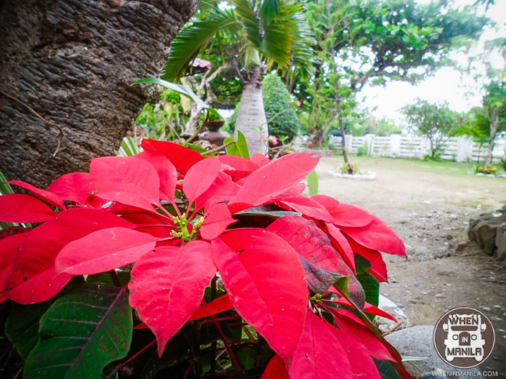 Urbiz Garden Plage: La Union's Bed 'n Breakfast of Pure Bliss 13 Urbiz Garden-12