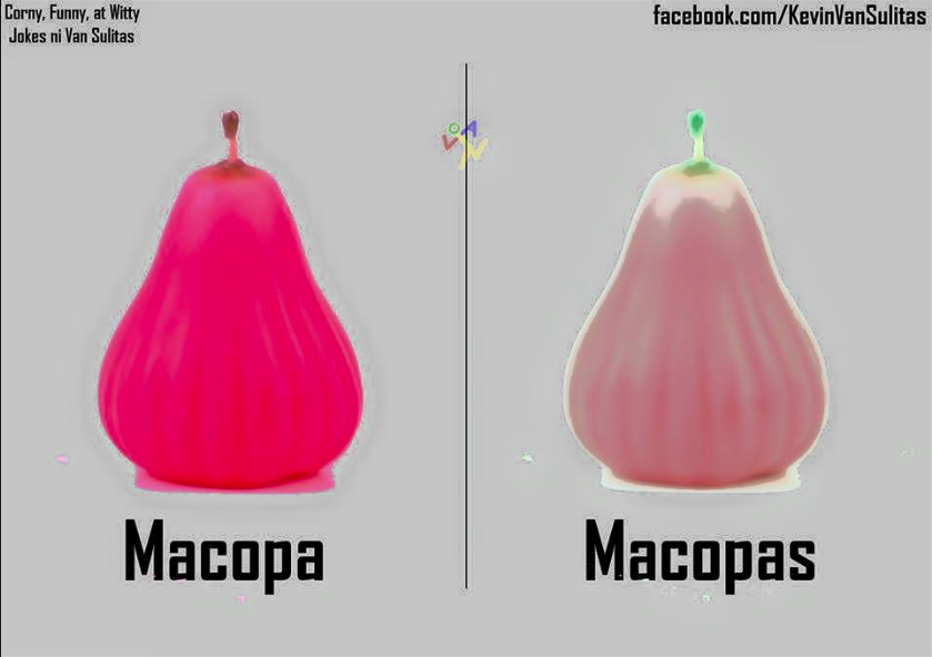 VANS-PAGKAIN-MEMES-16