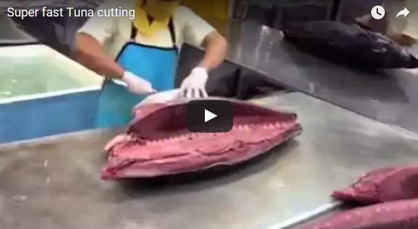 man who cuts tuna in less than 2 mins