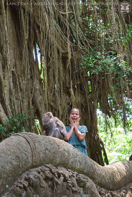 ubud-bali-travel-tips-monkey-forest