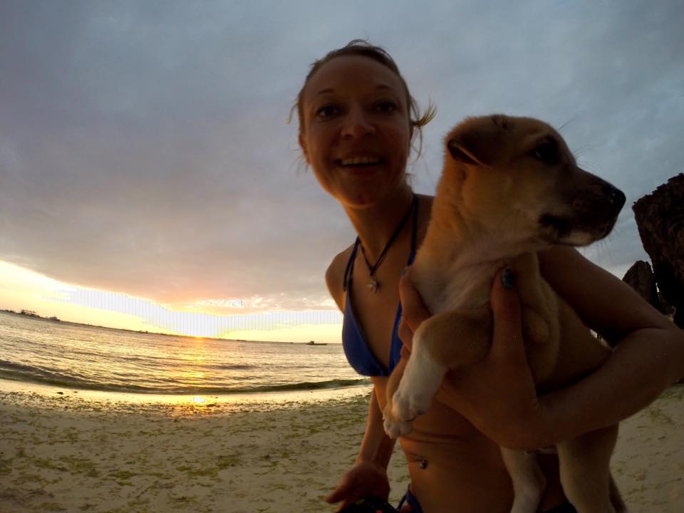 Buddy Luckiest Dog in the World Stray Dog in Boracay Gets Adopted by Foreign Traveler — Now Lives in Germany!