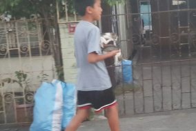 Boy saves kittens