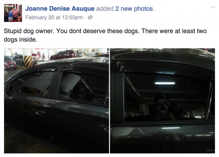 Dog left in car by owners