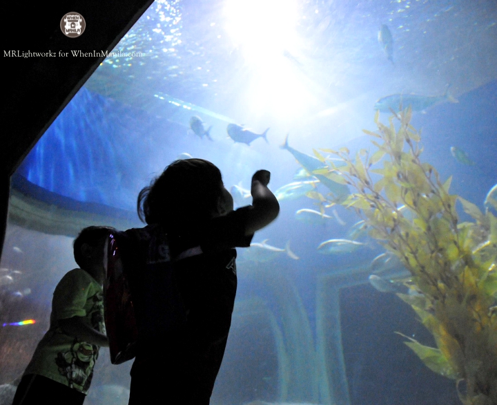 Manila Ocean Park