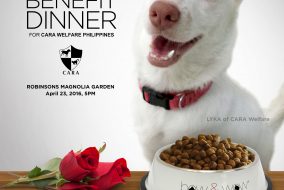 BOW & WOW BENEFIT DINNER FOR CARA WELFARE PHILIPPINES April 23 2016