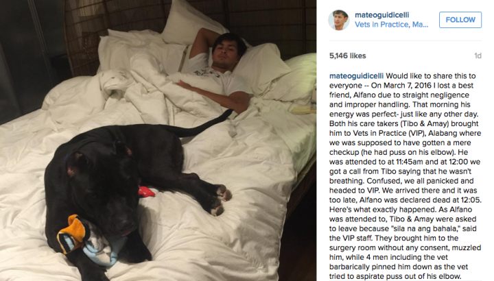 Matteo Guidicelli instagram dog e1459396465694
