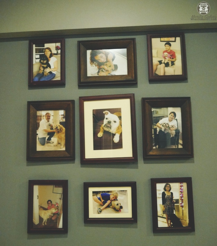 Somerset Olympia: 8 Reasons To Visit This Pet Friendly Hotel In The Heart Of Makati 5 somersetolympiahotelP1700095_batch