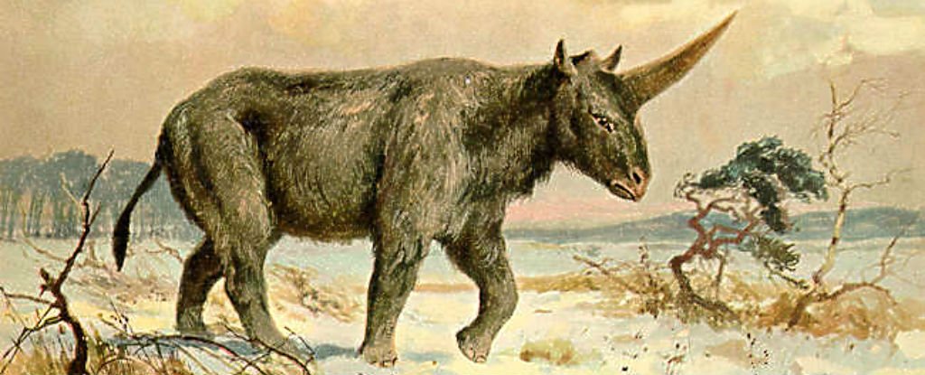 Fossil Findings Show Unicorns May Have Actually Existed—Some in the Philippines!