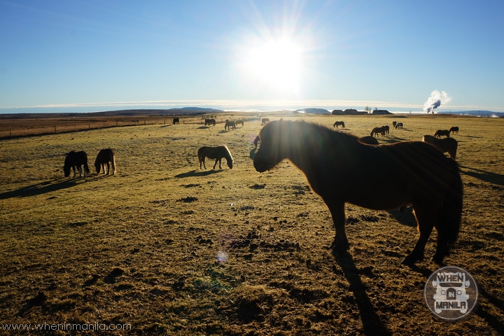 6 Reasons Why Iceland Should Be on Your Travel Bucket List 10 Image00024