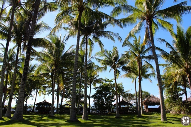 10 Reasons to book your next vacation at Moalboal, Cebu's private White Beach Oceanfront House! 5 White Beach Oceanfront House Moalboal 2