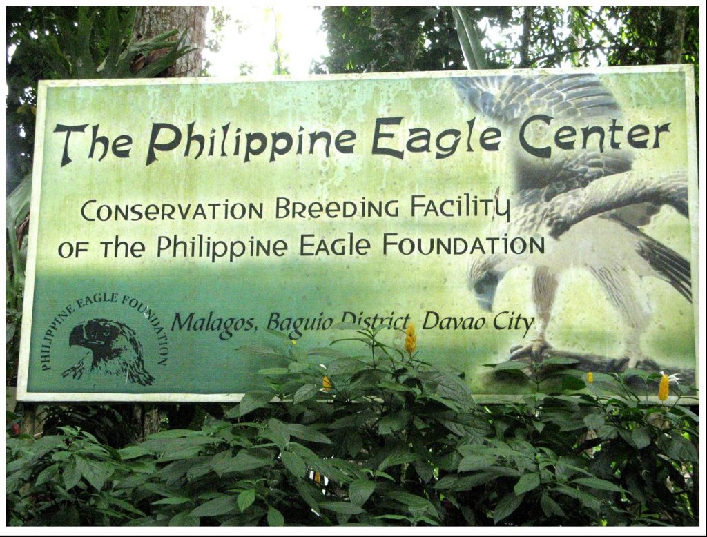 philippine eagle center malagos