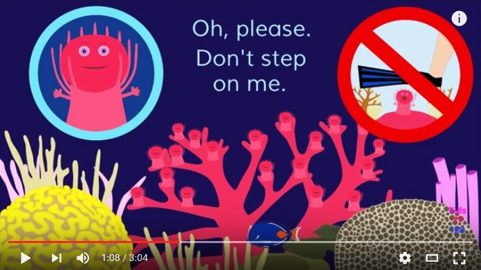 "The Coral Song" Video Perfectly Explains Why You Shouldn't Step on Corals