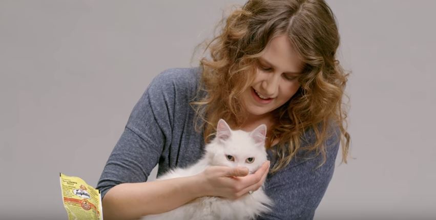 WATCH The Catterbox Can Translate Your Cat's Meows to Human Speech