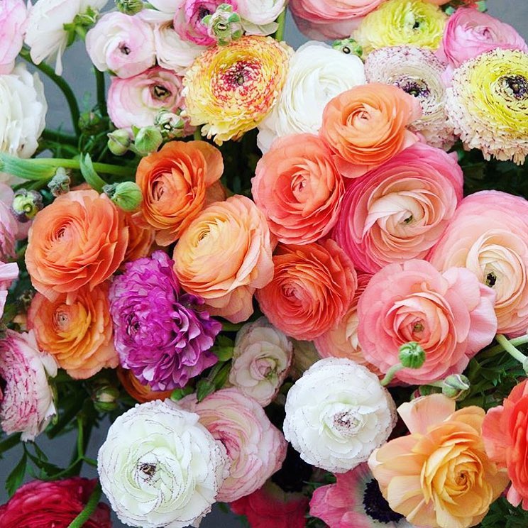 5 Instagram Shops for Floral Arrangements