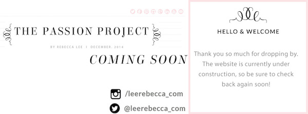 The Passion Project Rebecca Lee 1