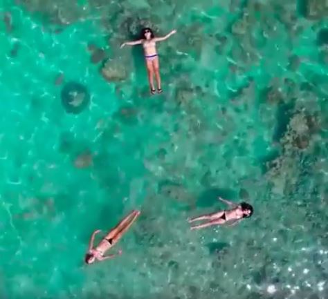 WATCH This Video Will Make You Wish it was Summer All Year Long