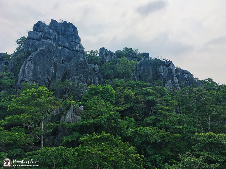 6 Things to Expect from the Masungi Georeserve Discovery Trail 3 masungi12