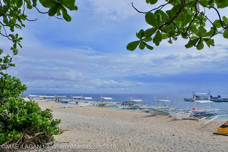 Amorita AirAsia Bohol Mae Ilagan (3 of 5)