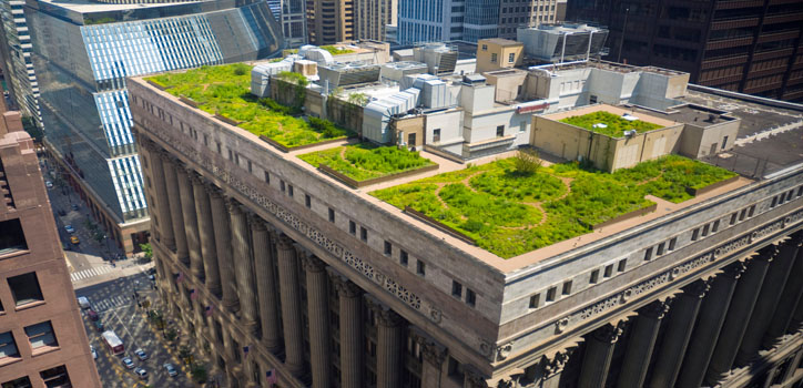 Chicago City Hall green roof