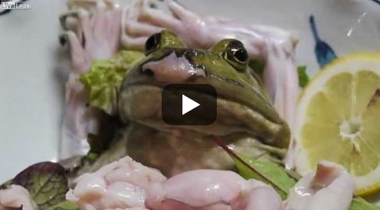 Frog Sashimi
