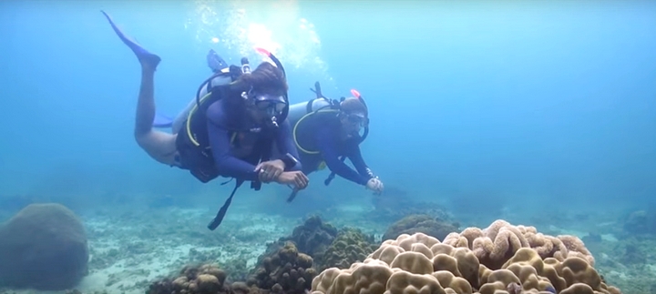 Discover Scuba Diving with Seaquest in Panglao Island, Bohol