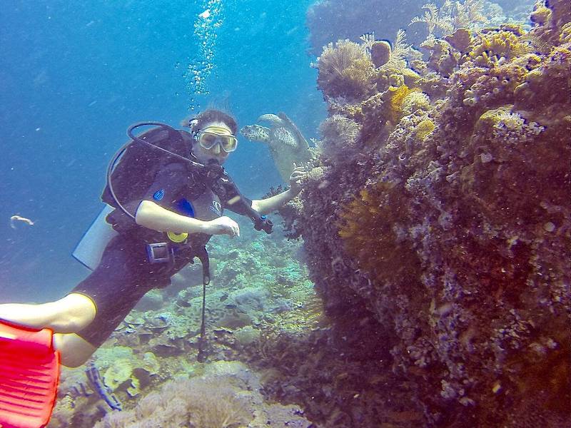Mar Roxas Diving (2)