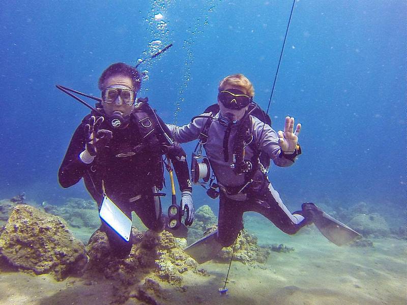 Mar Roxas Diving (4)