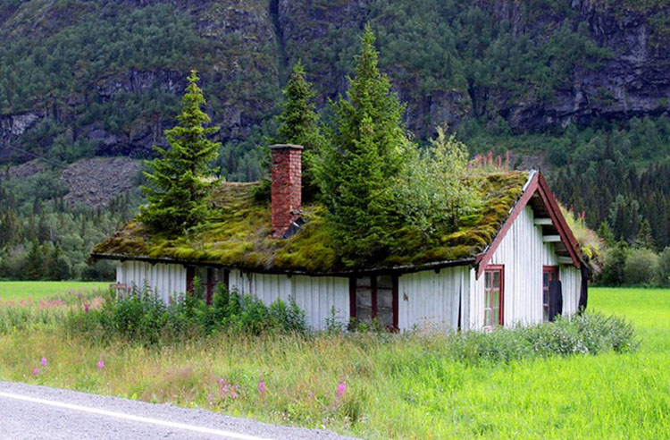 Norweigian Roof