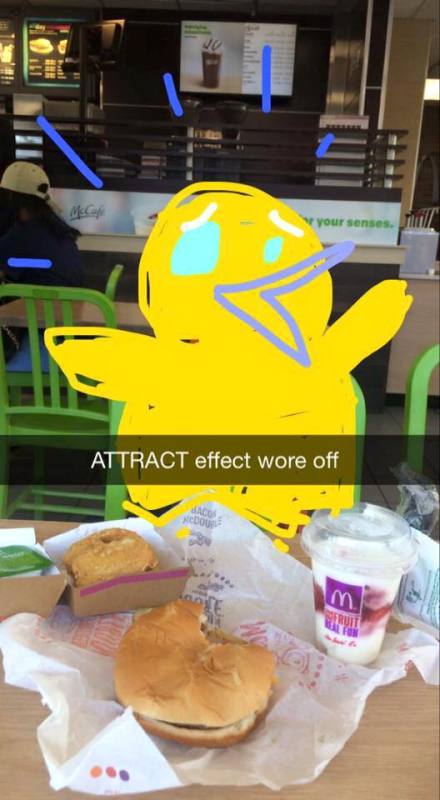 Pokemon Go fun (12)