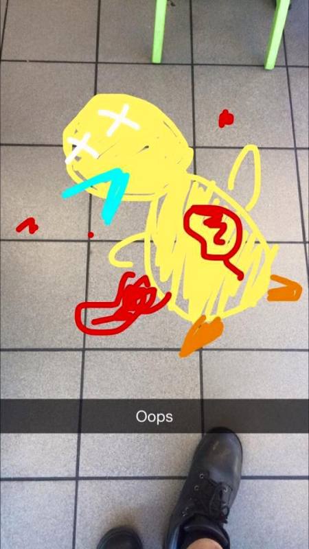 Pokemon Go fun (14)