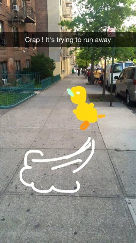 Pokemon Go fun (2)