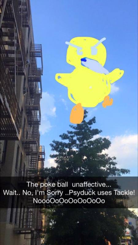 Pokemon Go fun (4)