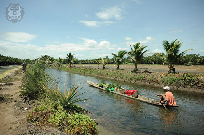 Agusan-river-places-to-see-butuan-city-caraga-region-pagatpatan