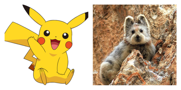 19 Pictures of Pokémon and Their Real-Life Counterparts - When In Manila