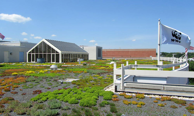10 Sky Gardens Around the World and Why They are Important 2 WWF HQ roof