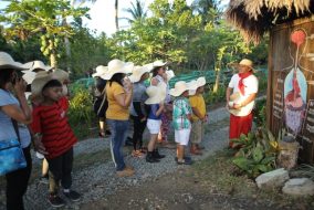 nurture wellness village and nurture farmacy farm tourism