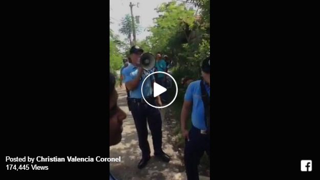 singing pulis