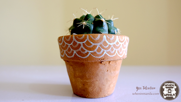 3 Reasons Why Succulents Are The Perfect Souvenirs 2