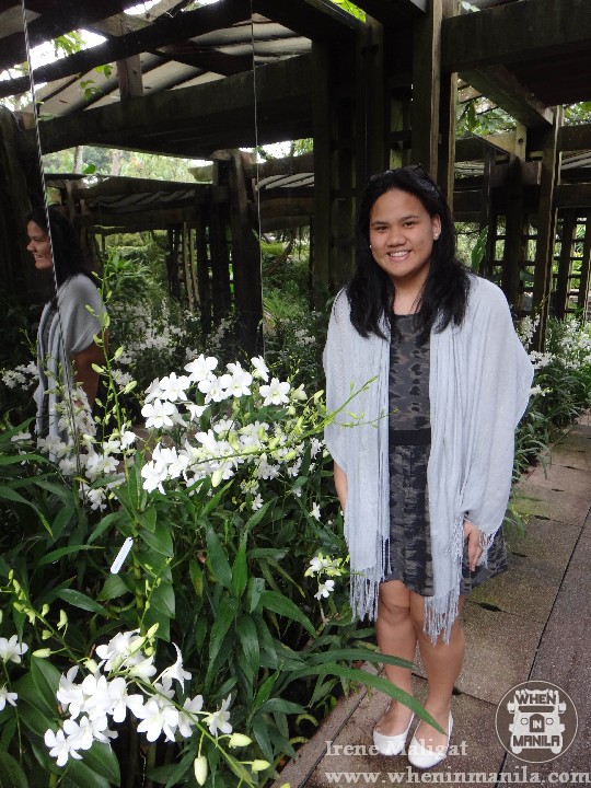The National Orchid Garden SG (4)