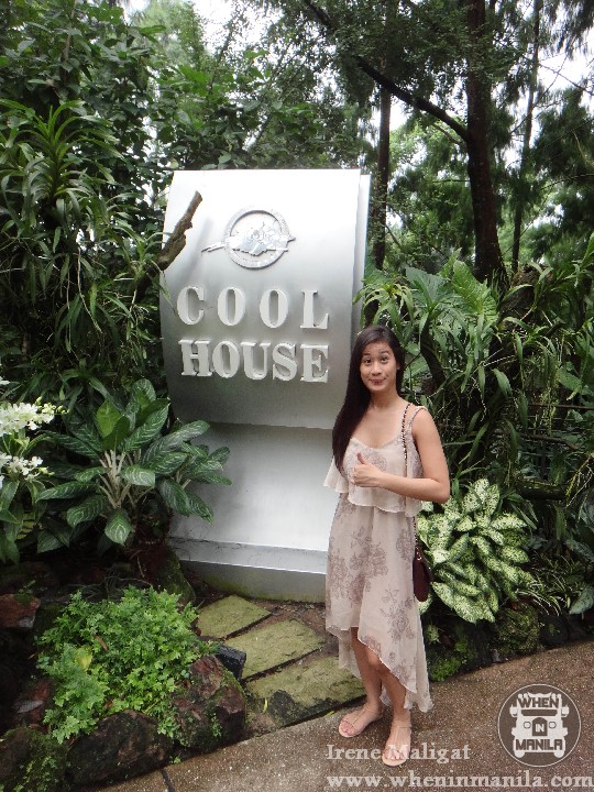 The National Orchid Garden SG (6)